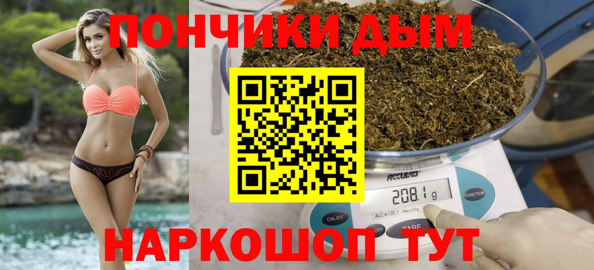 Канабис конопля Гудермес